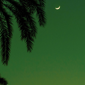 帅小伙自慰出精
